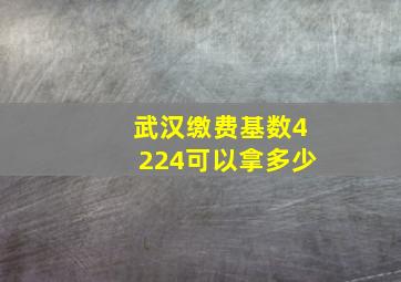 武汉缴费基数4224可以拿多少