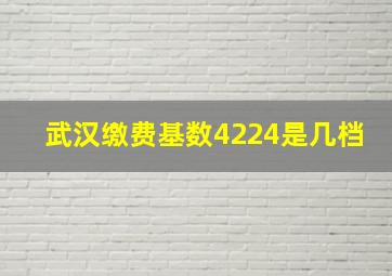 武汉缴费基数4224是几档