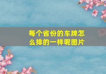 每个省份的车牌怎么排的一样呢图片