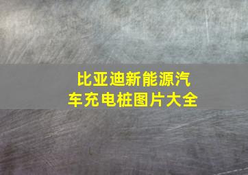 比亚迪新能源汽车充电桩图片大全