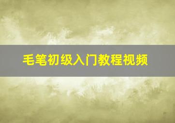 毛笔初级入门教程视频