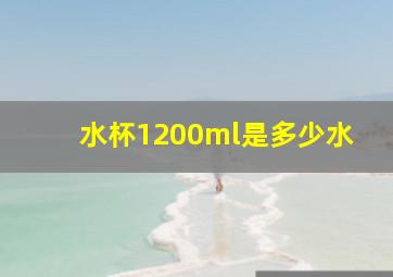 水杯1200ml是多少水