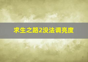 求生之路2没法调亮度