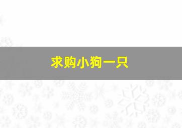 求购小狗一只