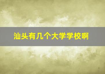 汕头有几个大学学校啊