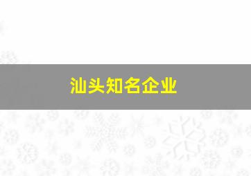 汕头知名企业