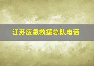 江苏应急救援总队电话