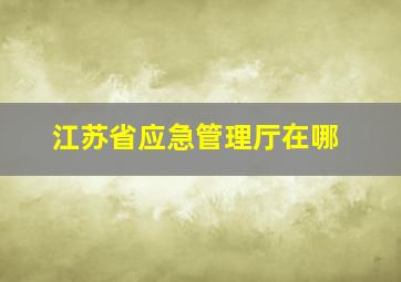 江苏省应急管理厅在哪