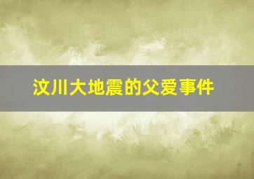 汶川大地震的父爱事件