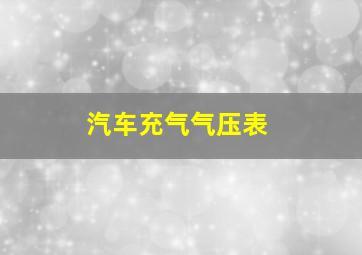 汽车充气气压表