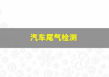 汽车尾气检测