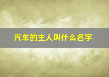 汽车的主人叫什么名字