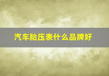 汽车胎压表什么品牌好