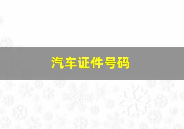 汽车证件号码