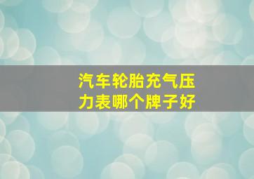 汽车轮胎充气压力表哪个牌子好