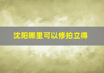 沈阳哪里可以修拍立得