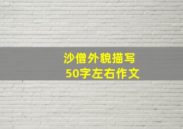 沙僧外貌描写50字左右作文