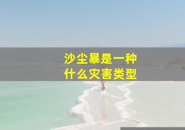 沙尘暴是一种什么灾害类型