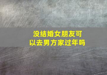 没结婚女朋友可以去男方家过年吗