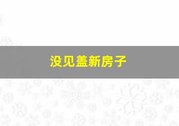 没见盖新房子