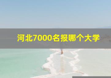 河北7000名报哪个大学