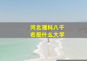 河北理科八千名报什么大学