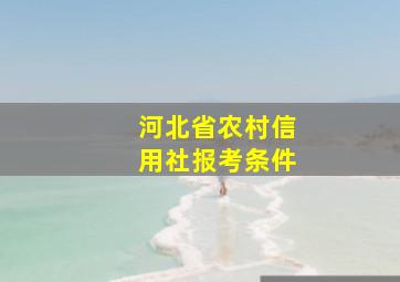 河北省农村信用社报考条件