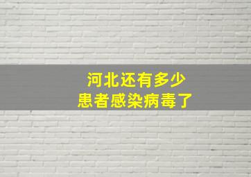 河北还有多少患者感染病毒了