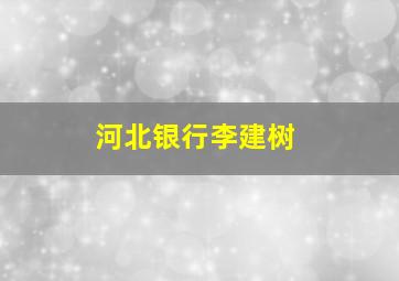 河北银行李建树