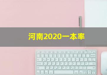 河南2020一本率