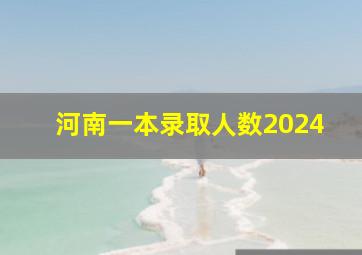 河南一本录取人数2024