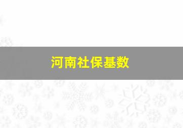 河南社保基数