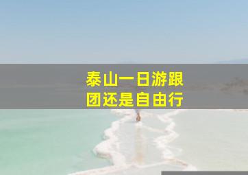 泰山一日游跟团还是自由行