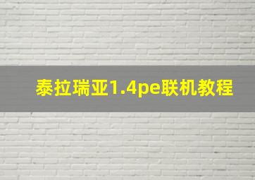 泰拉瑞亚1.4pe联机教程