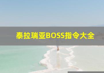 泰拉瑞亚BOSS指令大全