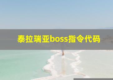 泰拉瑞亚boss指令代码