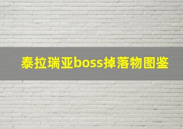 泰拉瑞亚boss掉落物图鉴