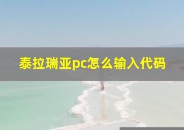 泰拉瑞亚pc怎么输入代码