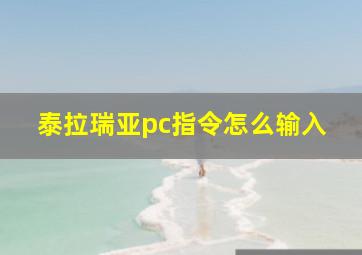 泰拉瑞亚pc指令怎么输入