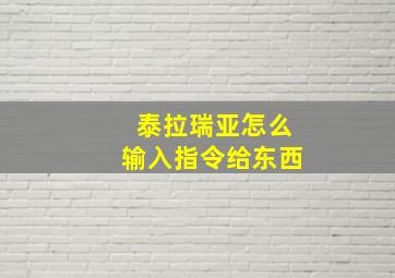 泰拉瑞亚怎么输入指令给东西