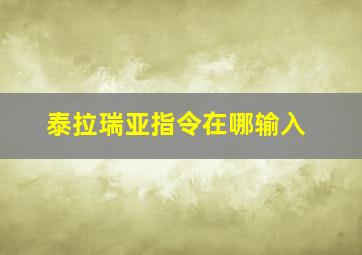 泰拉瑞亚指令在哪输入