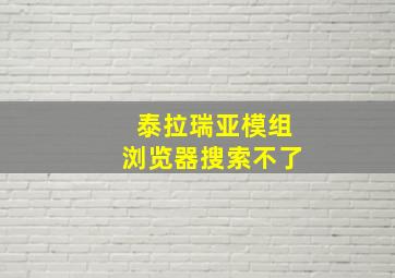 泰拉瑞亚模组浏览器搜索不了