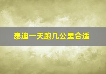 泰迪一天跑几公里合适