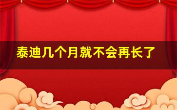 泰迪几个月就不会再长了