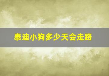 泰迪小狗多少天会走路