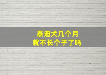 泰迪犬几个月就不长个子了吗