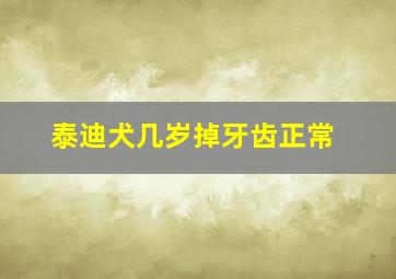 泰迪犬几岁掉牙齿正常