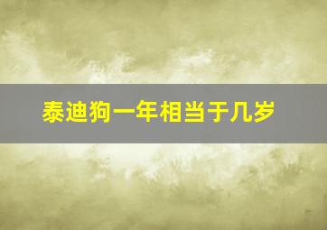 泰迪狗一年相当于几岁