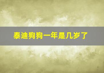 泰迪狗狗一年是几岁了