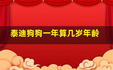 泰迪狗狗一年算几岁年龄